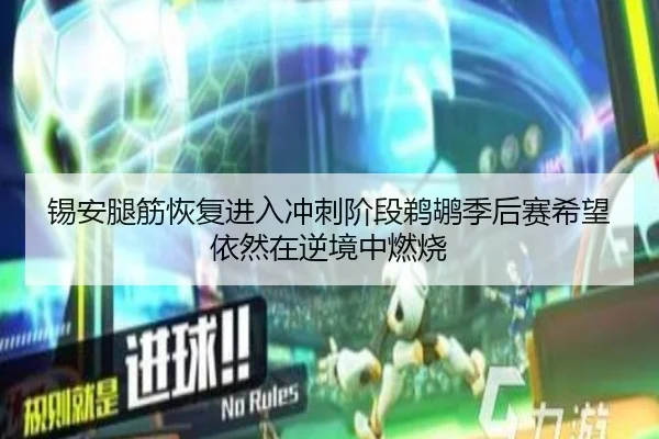 锡安腿筋恢复进入冲刺阶段鹈鹕季后赛希望依然在逆境中燃烧