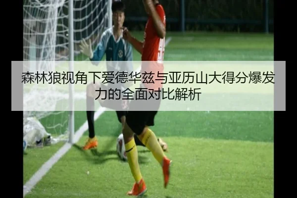 森林狼视角下爱德华兹与亚历山大得分爆发力的全面对比解析 - aoko